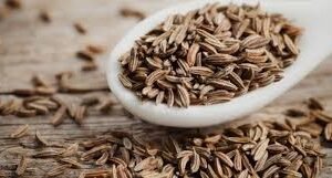 caraway